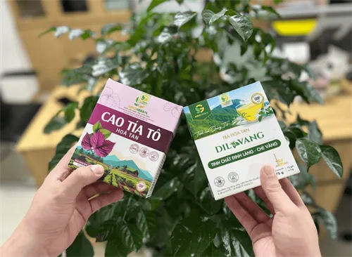 Liệu trình giải cảm & phục hồi: Trợ thủ đắc lực lúc giao mùa
